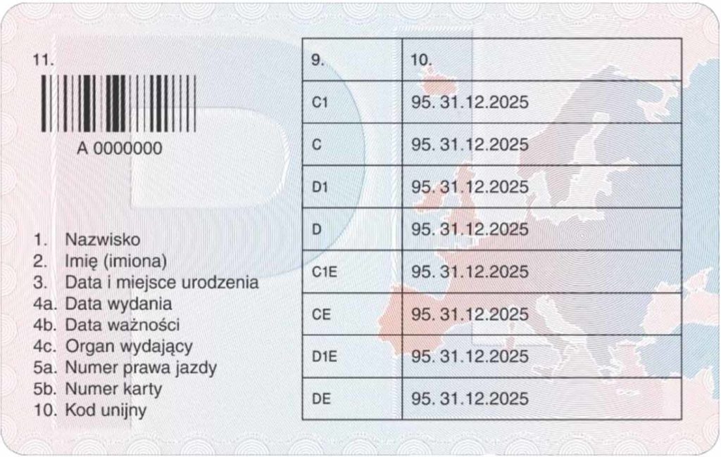Driver's Qualification Cards (CPC, Karta kwalifikacji kierowcy, code 95), back.